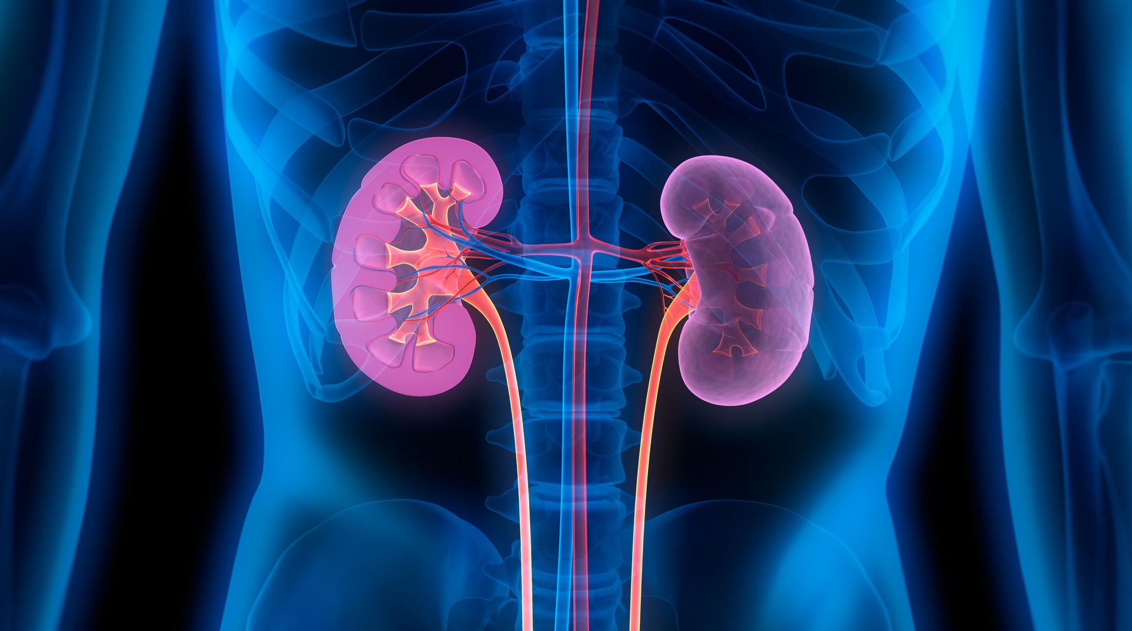 Drugs in Chronic Kidney Disease: Implications for Pharmacists