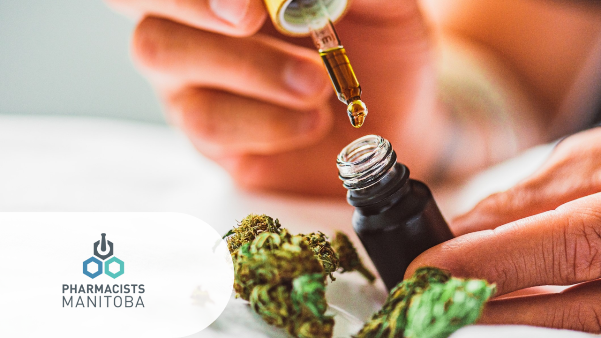 Pharmacists Manitoba: What Pharmacists Should Know About CBD